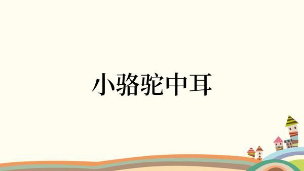 小骆驼中耳