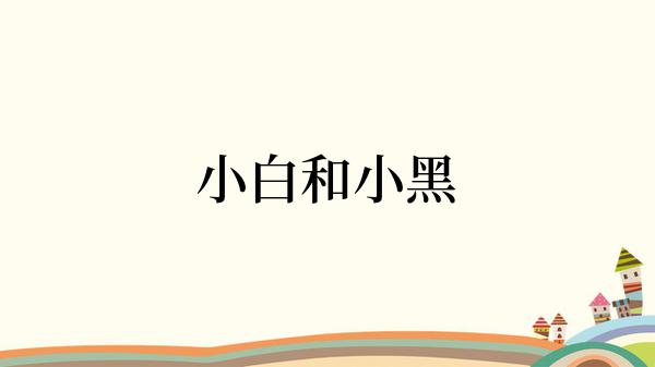 小白和小黑