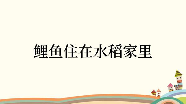 鲤鱼住在水稻家里