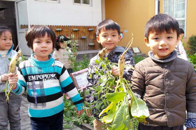 上海市闵行区虹桥中心幼儿园(本部) - 上海幼儿园黄页