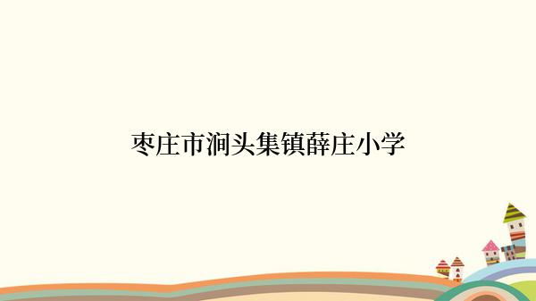 枣庄市涧头集镇薛庄小学