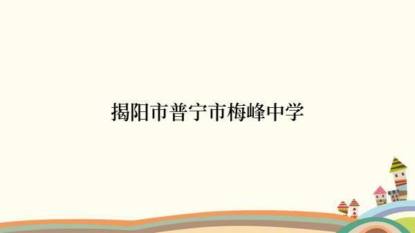 揭阳市普宁市梅峰中学
