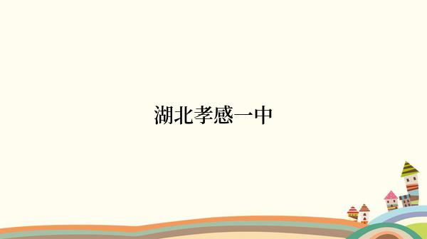 湖北孝感一中